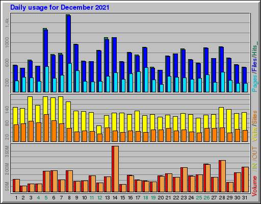 Raport Dzienny -  grudzień 2021