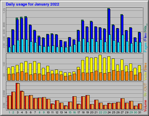 Raport Dzienny -  styczeń 2022