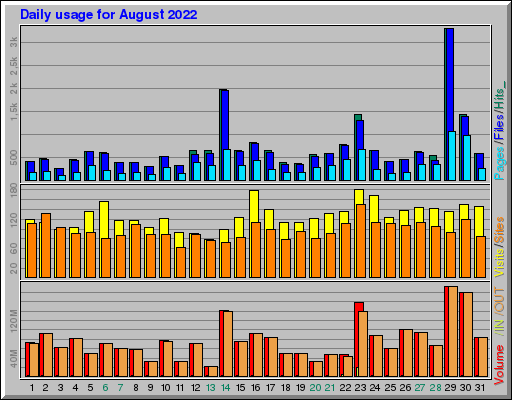 Raport Dzienny - sierpień 2022 Raport Dzienny - sierpień 2022