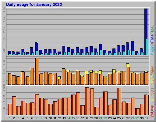 Raport Dzienny -  styczeń 2023