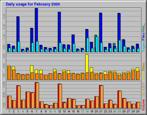Raport Dzienny -  luty 2024