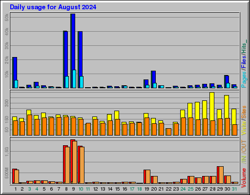 Raport Dzienny -  sierpień 2024
