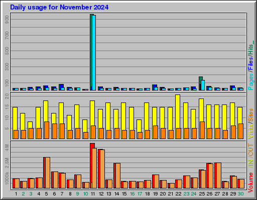 Raport Dzienny -  listopad 2024