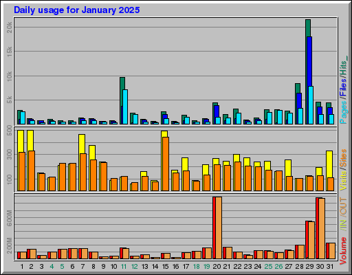 Raport Dzienny -  styczeń 2025
