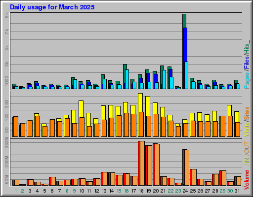 Raport Dzienny -  marzec 2025