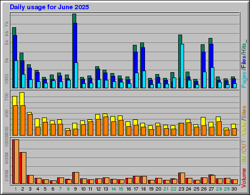 Raport Dzienny - czerwiec 2025 Raport Dzienny - czerwiec 2025