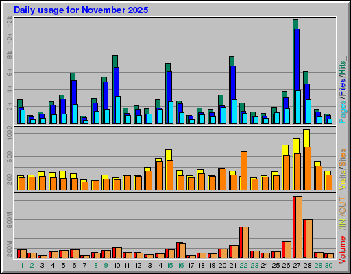 Raport Dzienny -  listopad 2025