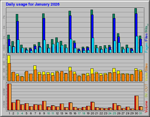 Raport Dzienny -  styczeń 2026