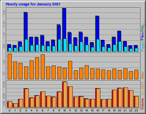 Raport Godzinowy -  styczeń 2021