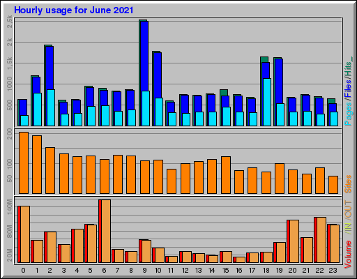 Raport Godzinowy -  czerwiec 2021