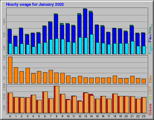 Raport Godzinowy - styczeń 2022 Raport Godzinowy - styczeń 2022