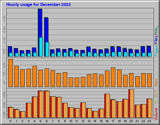 Raport Godzinowy -  grudzień 2022