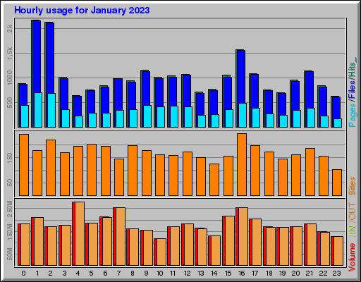 Raport Godzinowy -  styczeń 2023