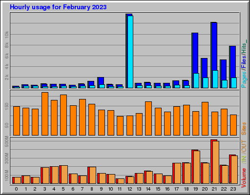 Raport Godzinowy -  luty 2023