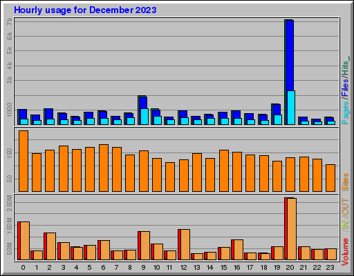 Raport Godzinowy -  grudzień 2023