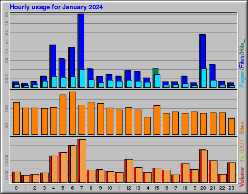 Raport Godzinowy - styczeń 2024 Raport Godzinowy - styczeń 2024