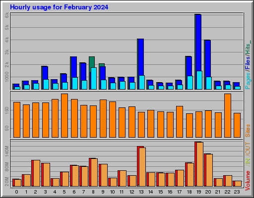 Raport Godzinowy -  luty 2024