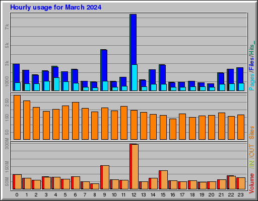 Raport Godzinowy -  marzec 2024