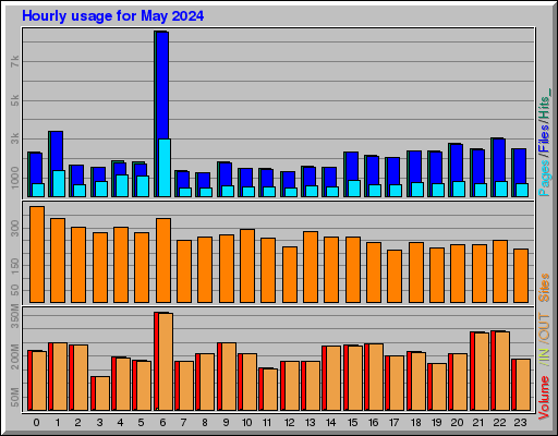 Raport Godzinowy -  Maj 2024