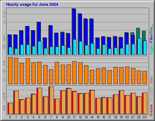 Raport Godzinowy -  czerwiec 2024