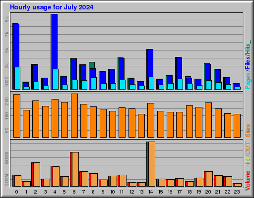 Raport Godzinowy -  lipiec 2024