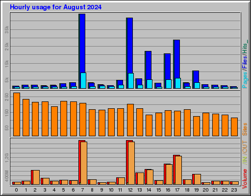 Raport Godzinowy -  sierpień 2024