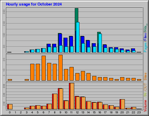 Raport Godzinowy -  październik 2024