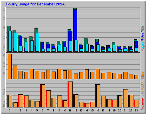 Raport Godzinowy -  grudzień 2024