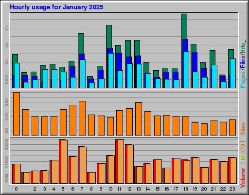 Raport Godzinowy - styczeń 2025 Raport Godzinowy - styczeń 2025