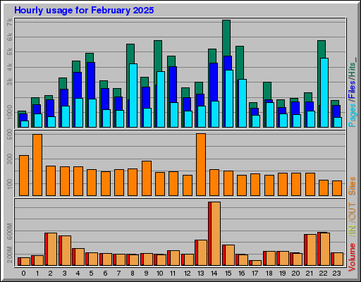 Raport Godzinowy -  luty 2025