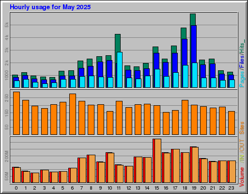 Raport Godzinowy -  Maj 2025