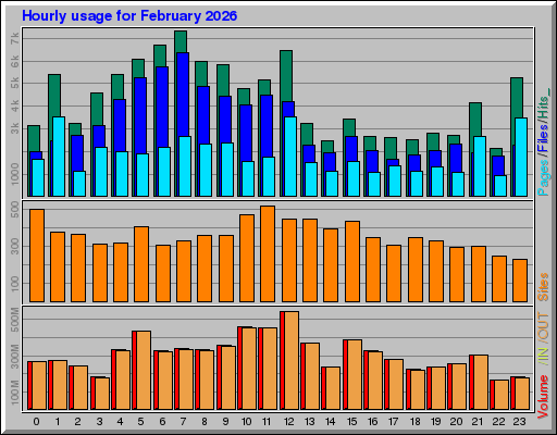 Raport Godzinowy -  luty 2026