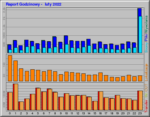 Raport Godzinowy -  luty 2022