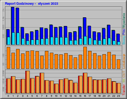 Raport Godzinowy -  styczeń 2023