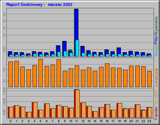 Raport Godzinowy -  marzec 2023