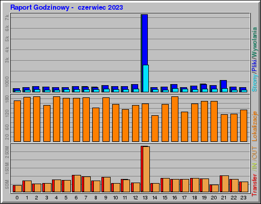 Raport Godzinowy -  czerwiec 2023