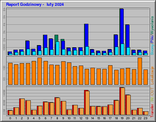 Raport Godzinowy -  luty 2024