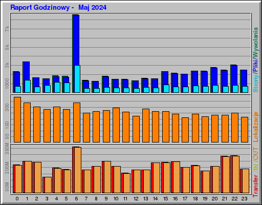 Raport Godzinowy -  Maj 2024
