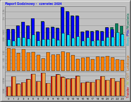 Raport Godzinowy -  czerwiec 2024