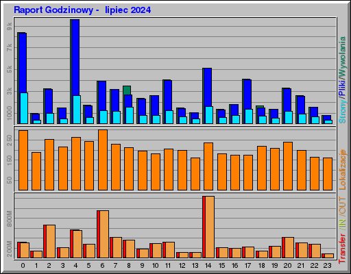 Raport Godzinowy -  lipiec 2024