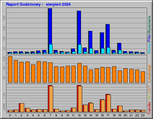 Raport Godzinowy -  sierpień 2024