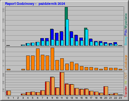 Raport Godzinowy -  październik 2024