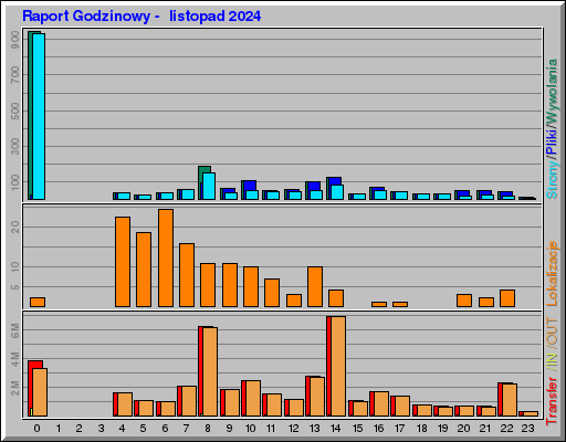 Raport Godzinowy - listopad 2024 Raport Godzinowy - listopad 2024