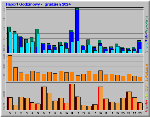 Raport Godzinowy -  grudzień 2024