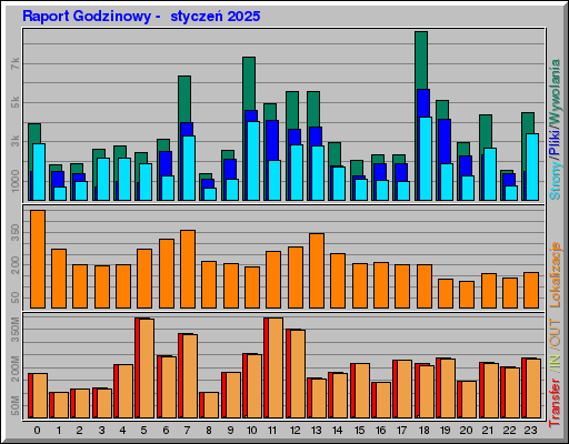 Raport Godzinowy -  styczeń 2025
