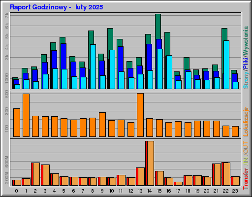 Raport Godzinowy -  luty 2025
