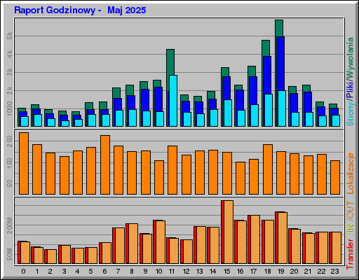 Raport Godzinowy -  Maj 2025
