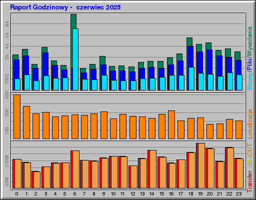 Raport Godzinowy -  czerwiec 2025