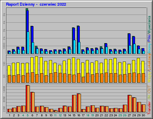 Raport Dzienny -  czerwiec 2022