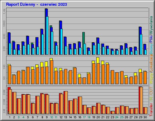 Raport Dzienny -  czerwiec 2023